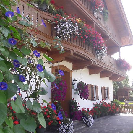 Vila Hofbauer Itter Exteriér fotografie