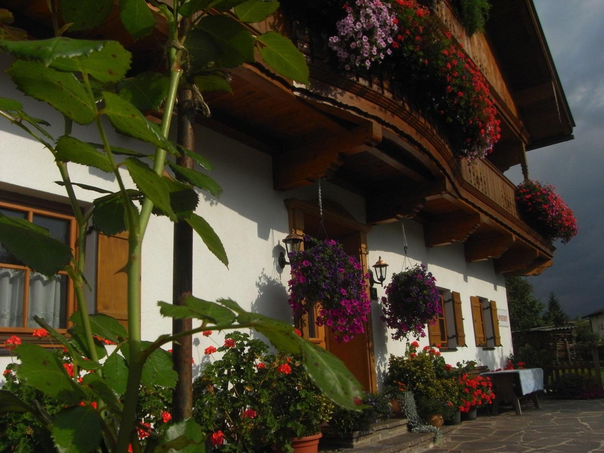 Vila Hofbauer Itter Exteriér fotografie