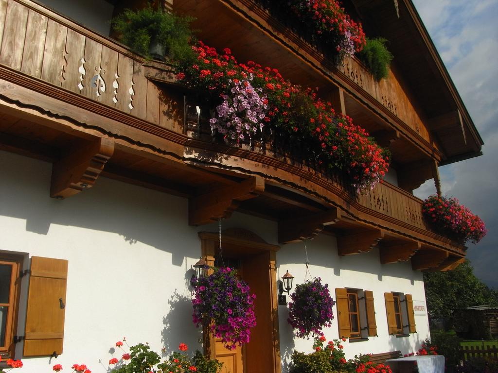 Vila Hofbauer Itter Exteriér fotografie