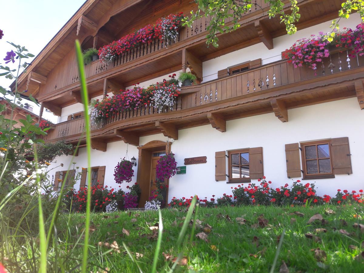 Vila Hofbauer Itter Exteriér fotografie