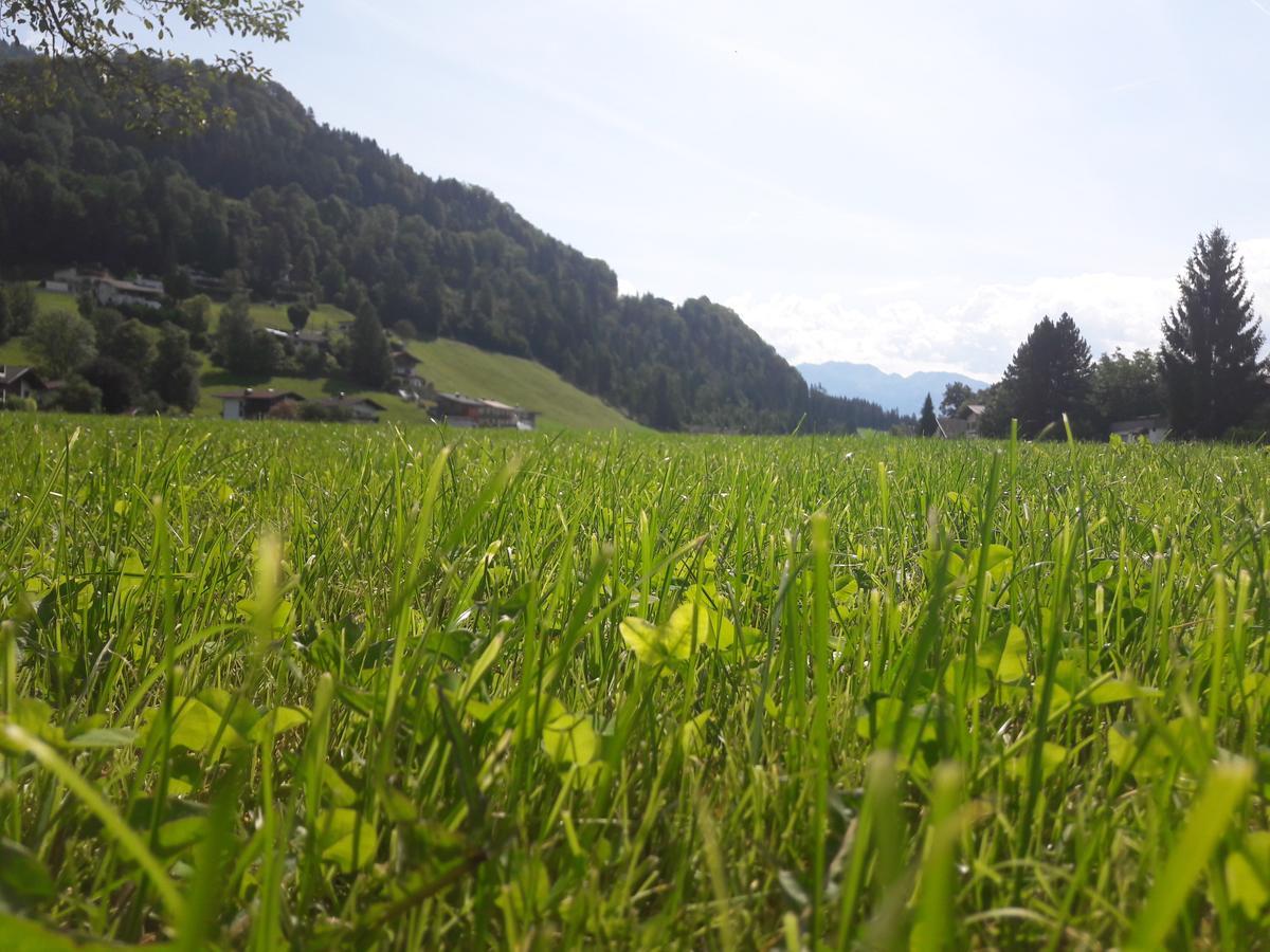 Vila Hofbauer Itter Exteriér fotografie