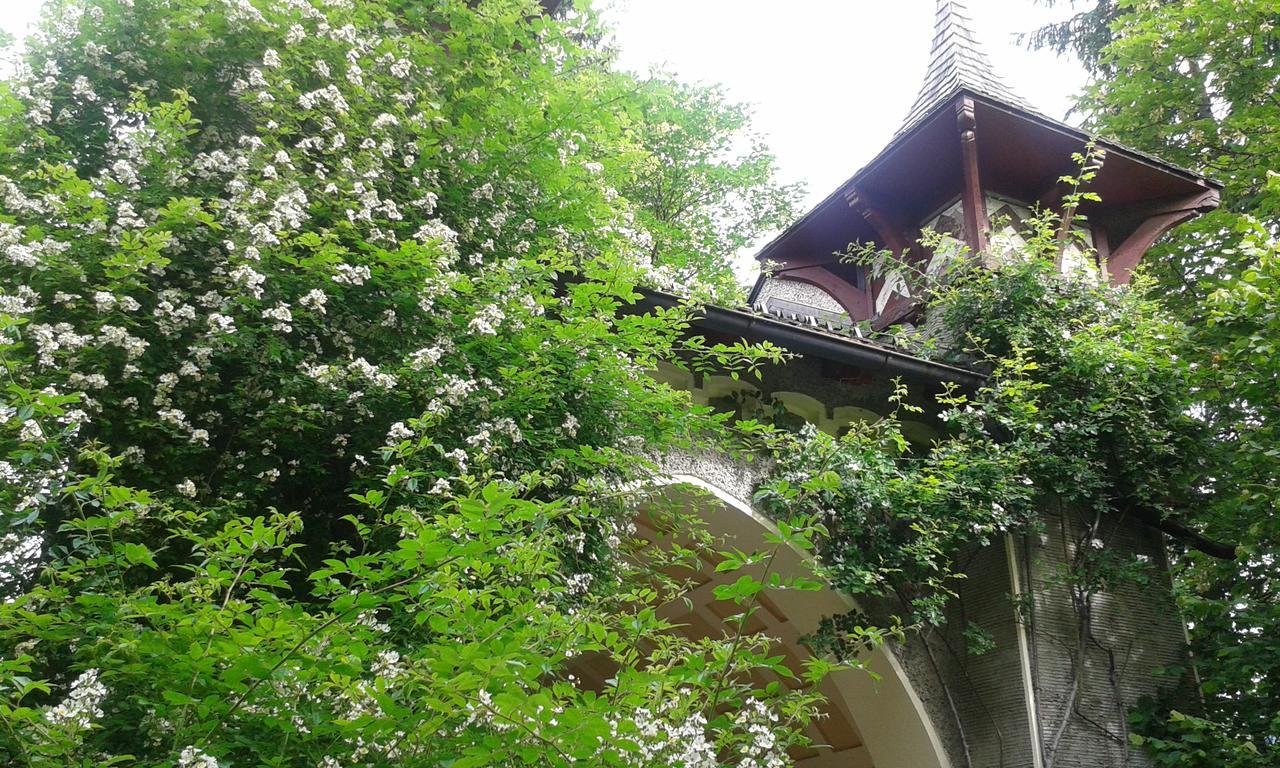 Vila Hofbauer Itter Exteriér fotografie